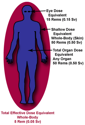 Eye Dose equivalent is 15 Rems. Shallow Dose Equivalent Whole-Body (skin) is 50 Rems. Total Organ Dose Equivalent Any Organ is 50 Rems.