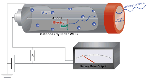 When ionizing radiation enters the detector, electrical reaction cause the survey meter output to react.