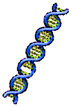 Radiation can damage DNA.