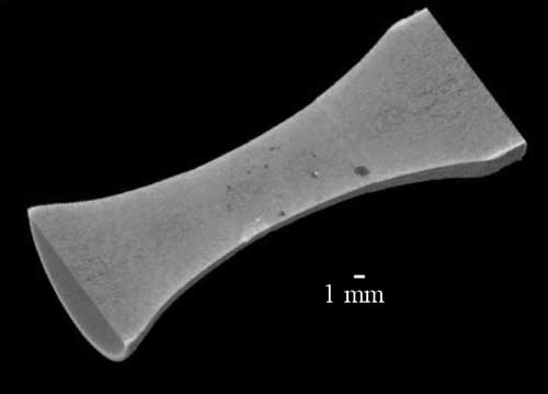 The 2-dimensional images can be manipulated to show a 3-dimensional shadow image of the part.