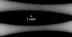 The CT scan pores in the specimens that were approximately 1 mm in diameter.