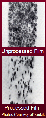 Unprocessed film looks different than processed film.