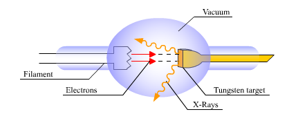  An X-ray tube contains a filament and a tungsten target. The electrons on the filament are accelerated towards the target. When the electrons hit the target, they lose energy in the form of X-ray photons. This all occurs inside of a vacuum. There is a window for the X-rays to escape.