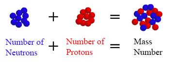  This is an image showing that the number of neutrons plus the number of protons equals the mass number