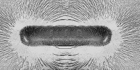 Iron filings in the vacinity of a magnet will reveal the shape of the magnetic field of the magnet