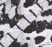 Slip bands within a grain are very small, but can still be imaged with powerful microscopes. 