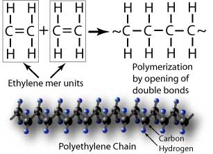  Multiple combining of multiple ethylene mer units leads to polymerization by the opening of double bonds.