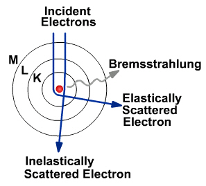 Like a marble hitting a billiard ball, accelerated elctrons get redirected after colliding with large atoms like tungsten. From this interaction, bremsstrahlung radiation is emitted.