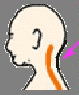  This is a diagram of a person's spine